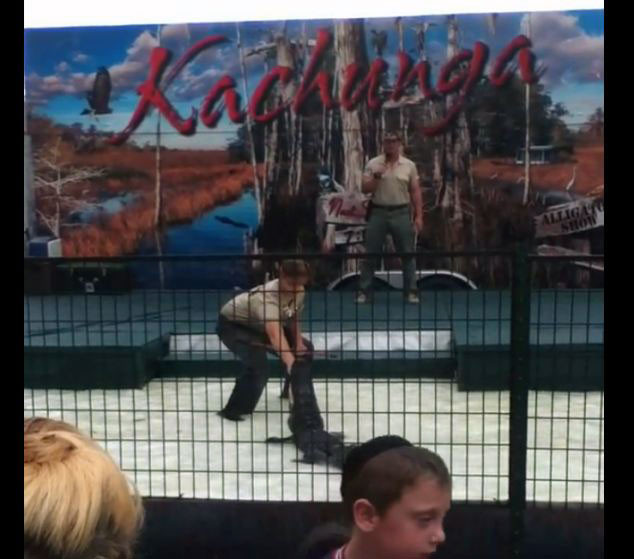 Az daha kolunu parçalıyordu