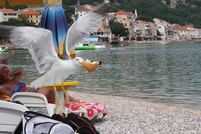 Plajda nefret ettiren anlar