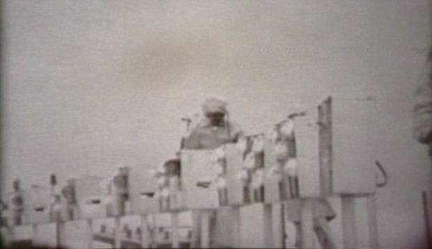 60 yıllık sır deney ortaya çıktı