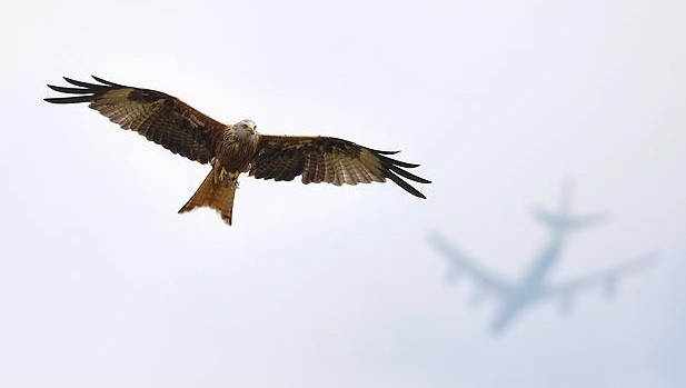 2012 Veolia Doğa Fotoğrafları