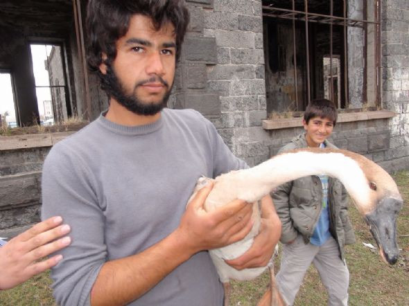 Kurban pazarında İngiliz kazı