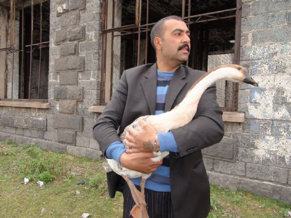 Kurban pazarında İngiliz kazı