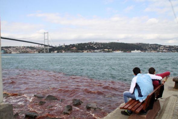 İstanbul Boğazı kan gölüne döndü