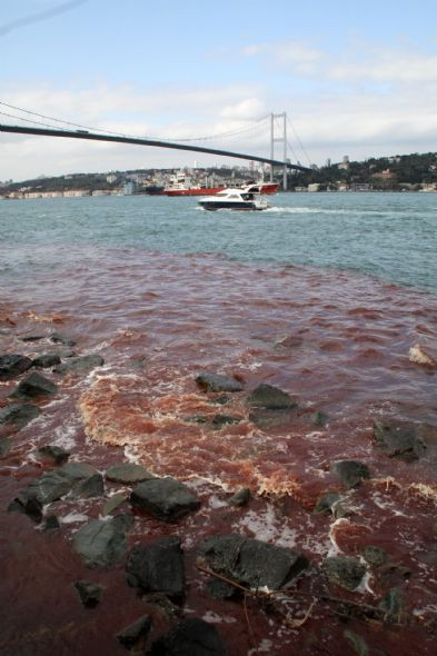 İstanbul Boğazı kan gölüne döndü