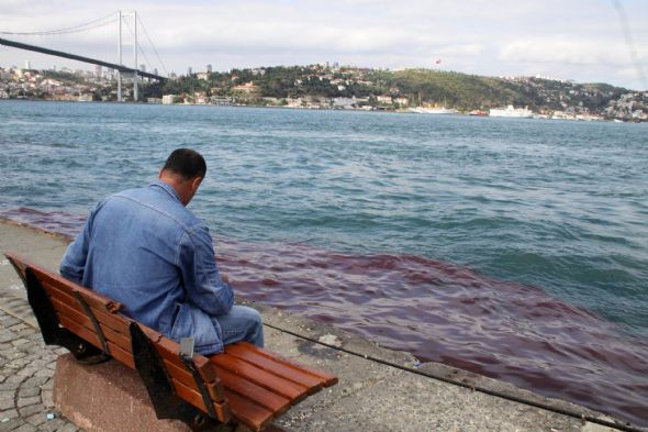 İstanbul Boğazı kan gölüne döndü
