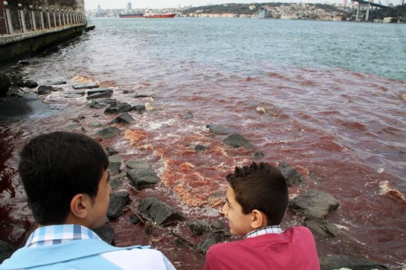 İstanbul Boğazı kan gölüne döndü