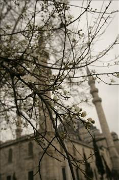Süleymaniye Caminin sırları