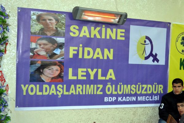 Kışanakın bayrak hassasiyeti