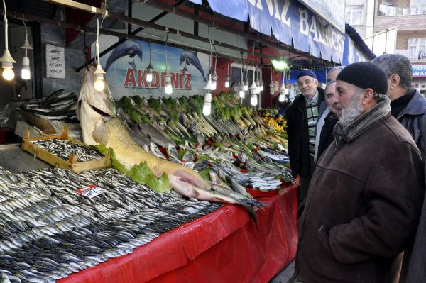Dev turna balığı yakalandı
