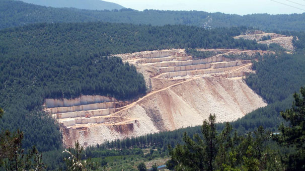Bu çığlığı duyan olmadı
