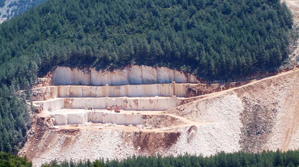 Bu çığlığı duyan olmadı