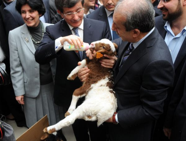Davutoğlundan iddialara sert tepki