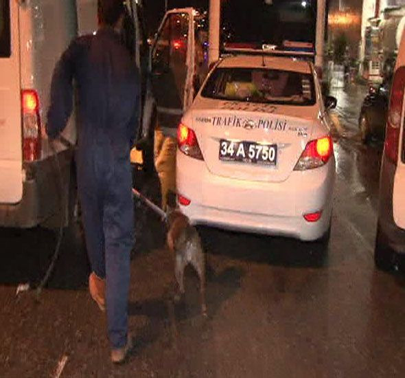 Polislerin pitbull dehşeti