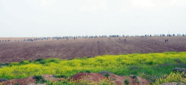 Dicle Üniversitesi yatışmıyor !