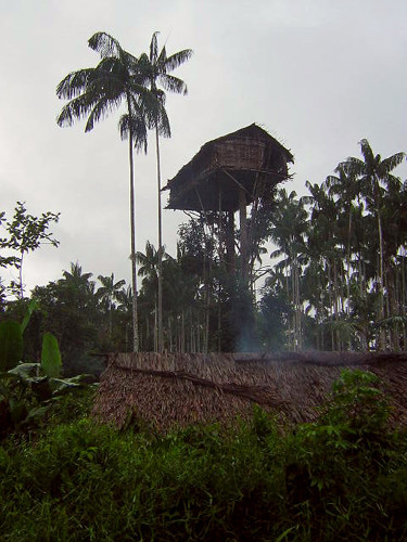 Yamyam kabile