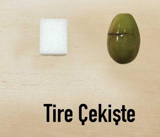 Türkiyenin en iyi zeytinleri