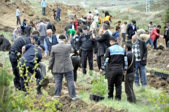 Özel harekat timleri dağlara fidan dikti