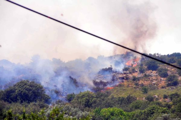 Bodrumda orman yangını