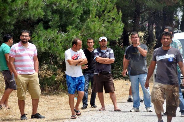 Bodrumda orman yangını