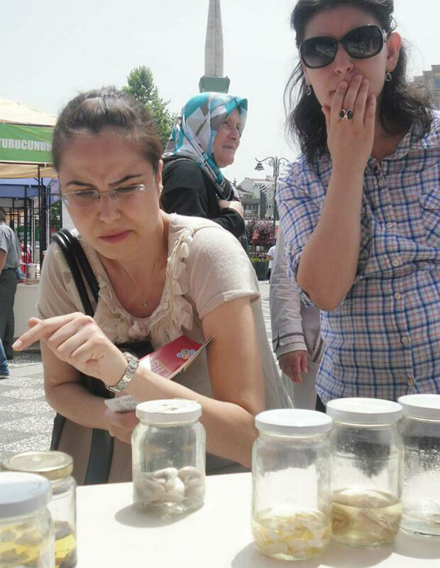Görenler donup kaldı!