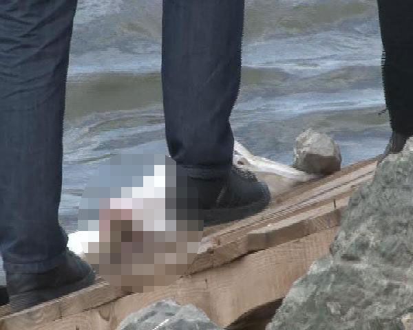 Haliçte bebek cesedi bulundu