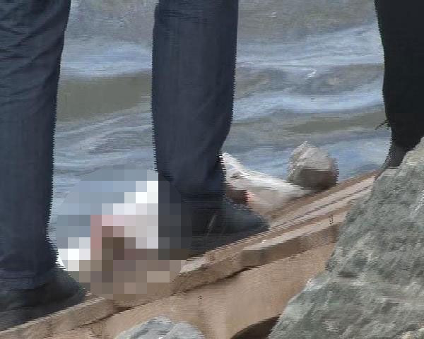 Haliçte bebek cesedi bulundu