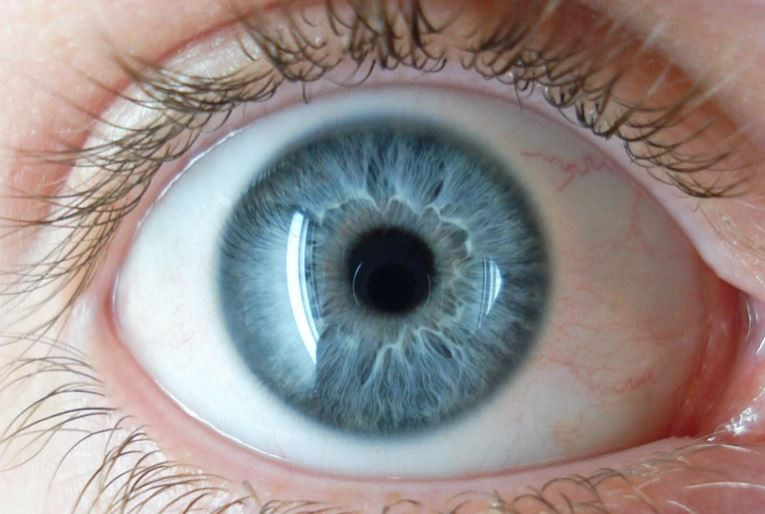 bluest eye in search of identity An overview of the bluest eye study help quiz full glossary for the bluest eye although his racial and sexual ambiguities confine him to a life of no identity. bluest eye in search of identity An overview of the bluest eye study help quiz full glossary for the bluest eye although his racial and sexual ambiguities confine him to a life of no identity.