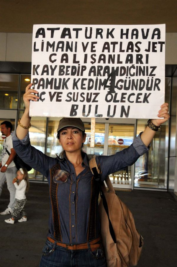Atatürk Havalimanında kedi protestosu!