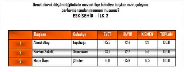 Andy-Arın yerel yönetimler araştırması