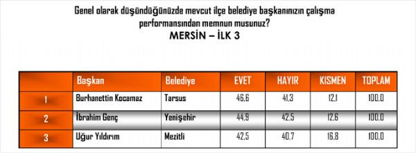 Andy-Arın yerel yönetimler araştırması