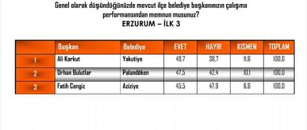 Andy-Arın yerel yönetimler araştırması