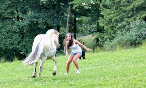 Hayvanların insanlara saldırdığı en ilginç 7 an