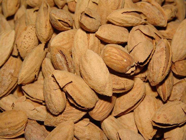Bademin bilinmeyen faydaları