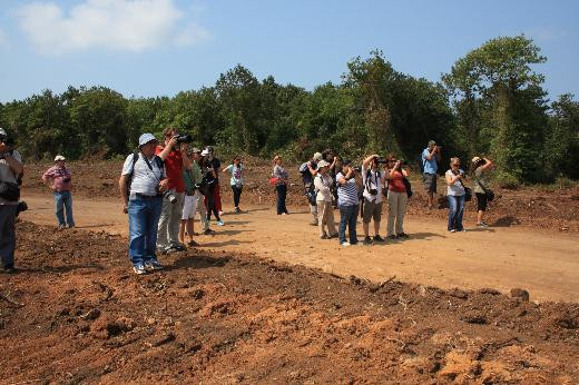 Kesilen ormanlık alanları görüntülediler