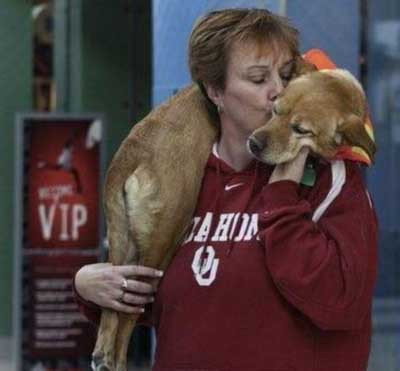 Bu köpek insan gibi yürüyor!