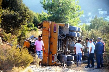 Şoka girdi, ormana kaçtı