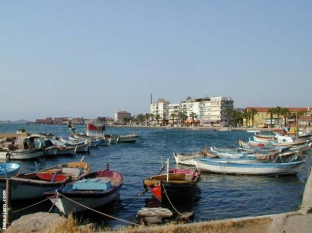 İl il kurban fiyatları
