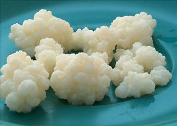 Kefir mucizesi