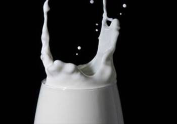 Kefir mucizesi