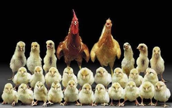 İşte en sinir bozucu facebook arkadaşlarınız
