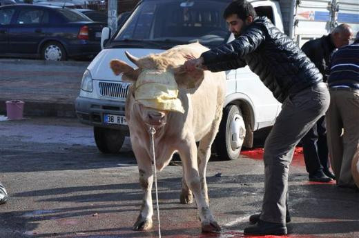 Kurban Bayramı manzaraları