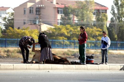 Kurban Bayramı manzaraları