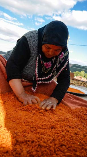 Hastalıklara karşı koruyucu kalkan: Tarhana