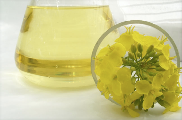 İşte Omega-3 kaynağı besinler