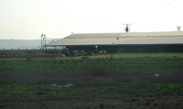 Ticarete de el attılar