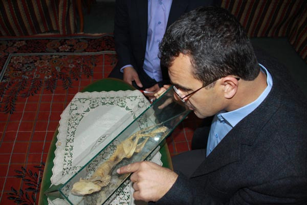Cami inşaatında tuhaf fosil