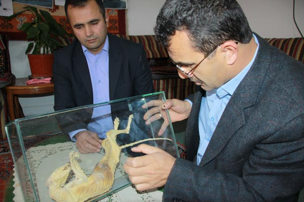 Cami inşaatında tuhaf fosil