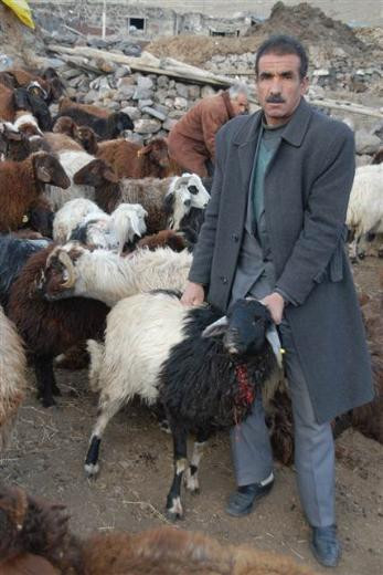Kurt katliamı