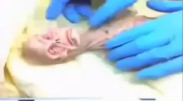 Dünyayı karıştıran görüntü