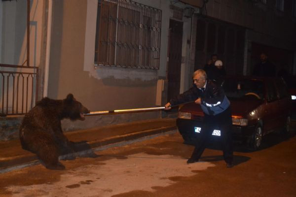 Gece yarısı kent merkezine indi